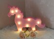 Einhorn Sachen – LED Lampe, Onesie, Pullover, Hausschuhe, Likör